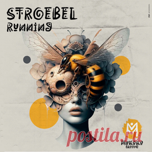STROEBEL - Running | 4DJsonline.com