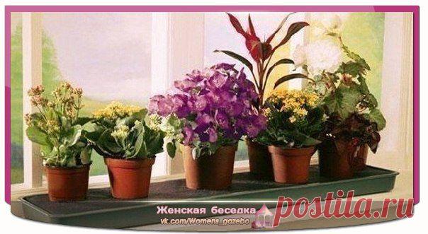 ๑۩۩๑ Женская беседка ✔ ๑۩۩๑