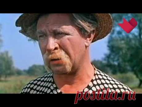 Раскрывая тайны звезд: Евгений Лебедев
