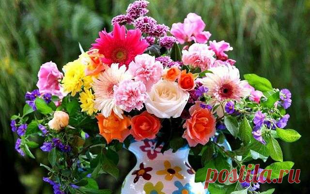 Зачем нужно поить розы водкой, и как продлить жизнь букету цветов — Дачный участок