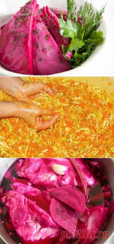 Квасим капусту ! Самые лучшие рецепты