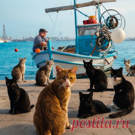 Ловец рыб - OGADANIE.RU