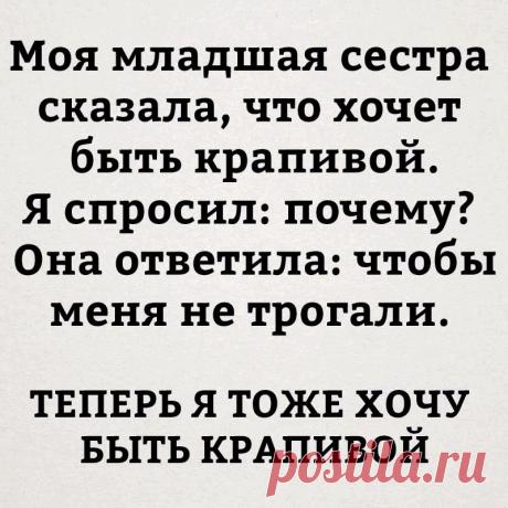 Прикольные картинки с надписями для поднятия настроения (11 фото)