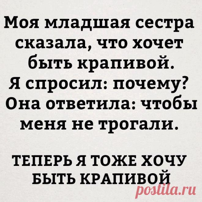 Прикольные картинки с надписями для поднятия настроения (11 фото)