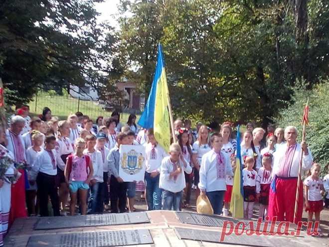 Новости