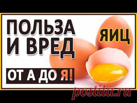 ЯЙЦА. Польза и вред Яиц! Полный разбор! D3, В12, желток, белок, Омега 3, холестерин, лецитин, куры.