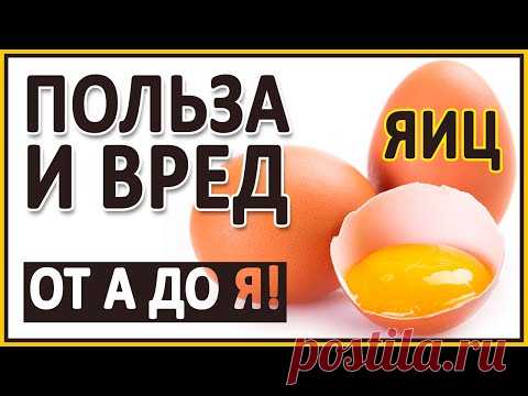 ЯЙЦА. Польза и вред Яиц! Полный разбор! D3, В12, желток, белок, Омега 3, холестерин, лецитин, куры.