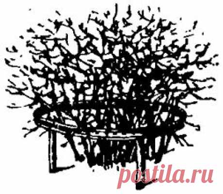 обод от старого велосипедного колеса, установленный на 3-4 колышка.