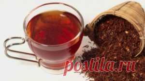 Чай ройбуш: полезные свойства, противопоказания,лечение,фото