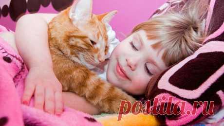Эти забавные животные!
♔Викуля ♛Ковалева♔