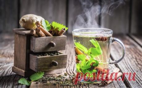 Продукты снижающие аппетит и подавляющие чувство голода