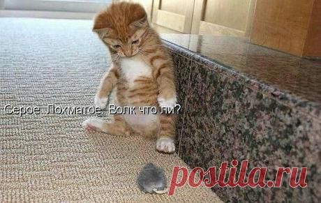 ((((Положительное Настроение))))
Петр Рубашкин