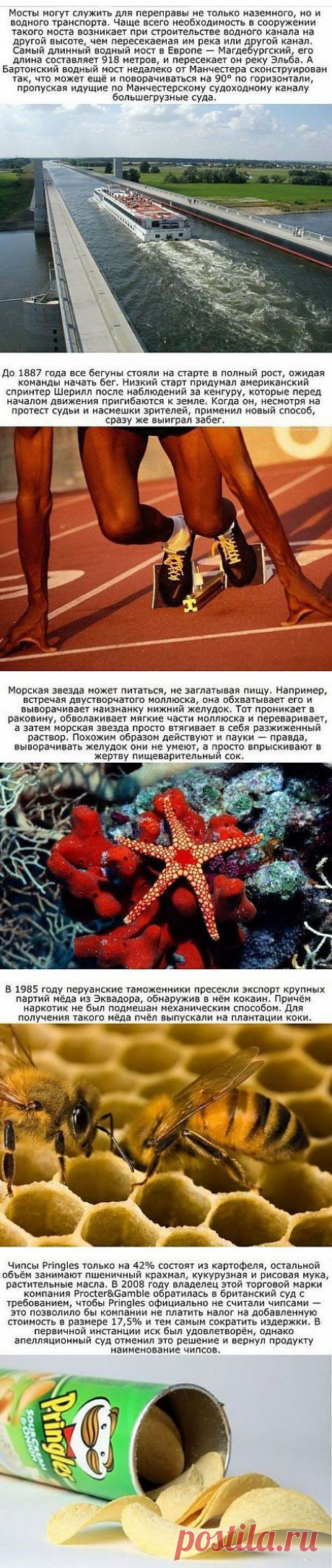 Интересные факты, которые наверняка вы не знали. » Поржать.ру