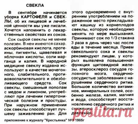 Свекла - лечебные свойства