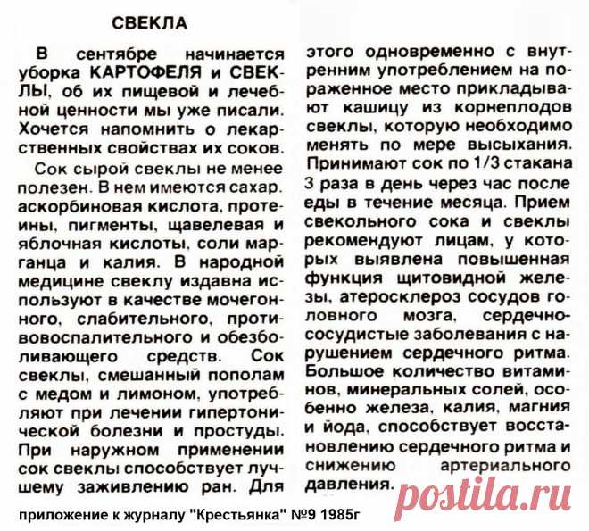 Свекла - лечебные свойства