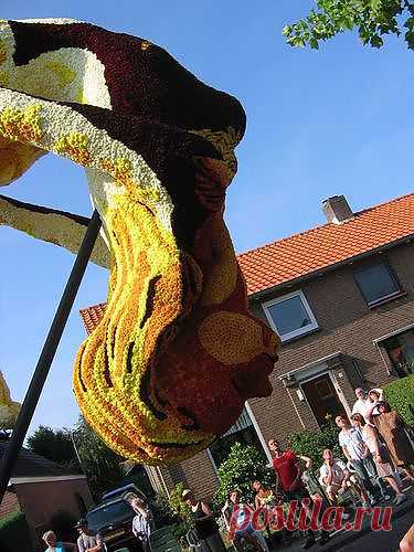 Парад цветов