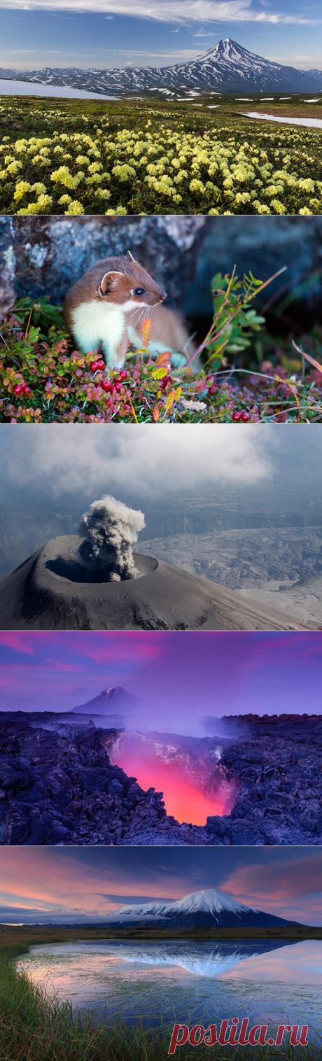 Очарованный Камчаткой / Туристический спутник