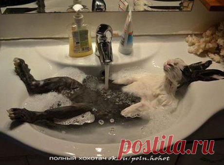 (25) Одноклассники