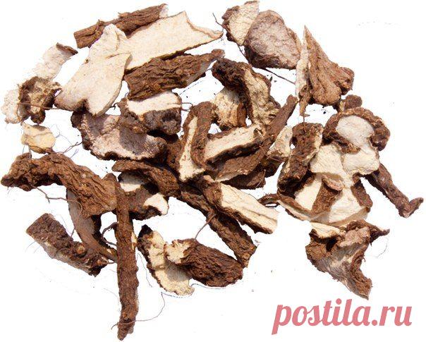 Два лечебных курса и диета хорошо помогли / Популярная медицина