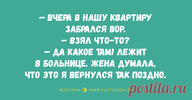 Сегодня весь день искали своего пса, а вечером он пришёл с запиской… • Фактрум