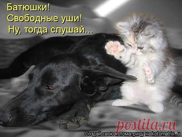 улыбнитесь!