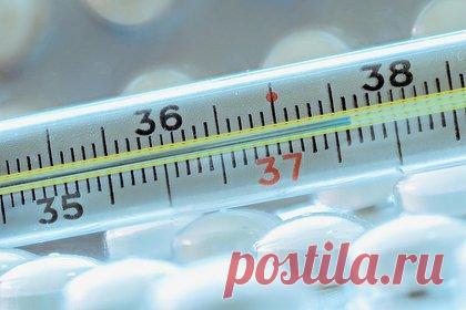Доктор Мясников назвал распространенную ошибку при измерении температуры