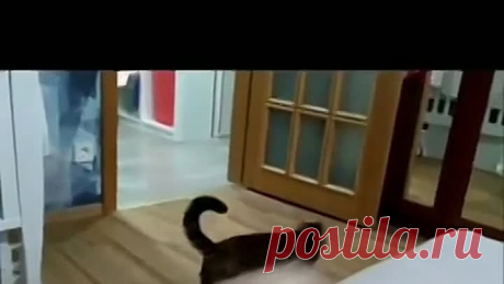 Вот такая любовь!..