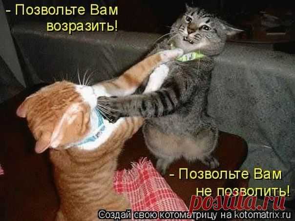 Мой Мир@Mail.Ru