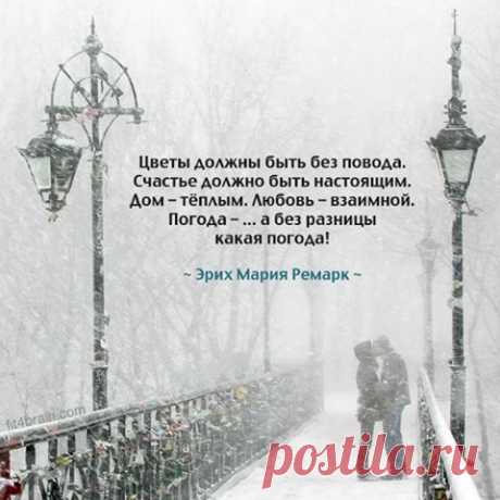 (79) Facebook