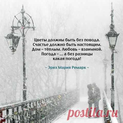 (79) Facebook