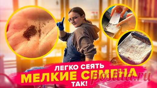 ТАК ЛЕГКО ПОСЕЯТЬ МЕЛКИЕ СЕМЕНА! Лобелия, петуния | Семена Алтая. Дачные советы от Виктории Карелиной | Дзен