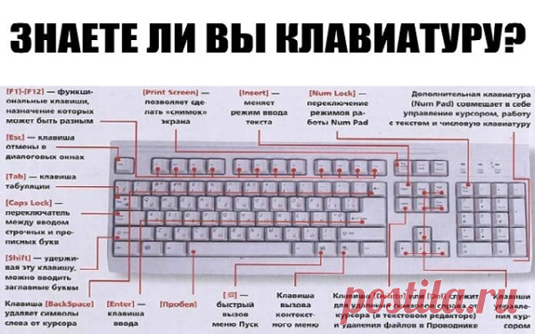 ЗНАЕТЕ ЛИ ВЫ КЛАВИАТУРУ НА СВОЁМ КОМПЬЮТЕРЕ?