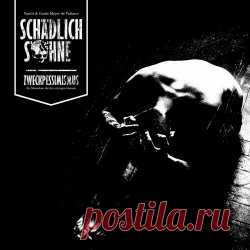 Schädlich & Söhne - Zweckpessimismus (2025) Artist: Schädlich & Söhne Album: Zweckpessimismus Year: 2025 Country: Germany Style: Gothic Metal, Industrial Metal