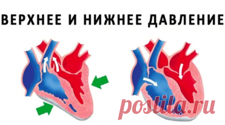 Разница между верхним и нижним давлением – все, что нужно знать