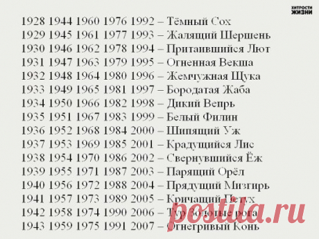 (1) Одноклассники