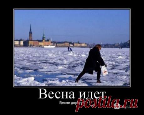 весна идёт: 33 тыс изображений найдено в Яндекс.Картинках