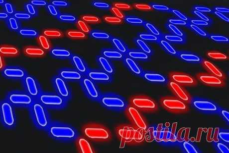 1D-наномагниты с тепловой коммутацией найдут применение в информатике / Физика невозможного!