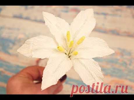 Лилия из гофрированной бумаги / Цветы из бумаги / DIY / Lily of corrugated paper - YouTube
Лилия один из самых красивых цветков и в видео вы увидите как можно легко и просто сделать лилию из гофрированной бумаги.

#лилияизбумаги #гофрированнаябумага #corrugatedpaper