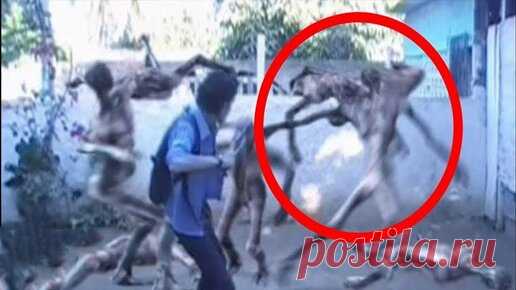 Подборка Секретных Видео Интернета | Феликс Канди | Дзен