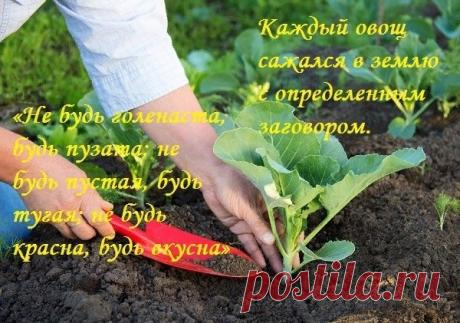 Поздравляю тебя с днем — «Арина — урви берега»! Желаю жизни такой же бурной, мощной и весенней! Открытки на Арина - «урви берега»!