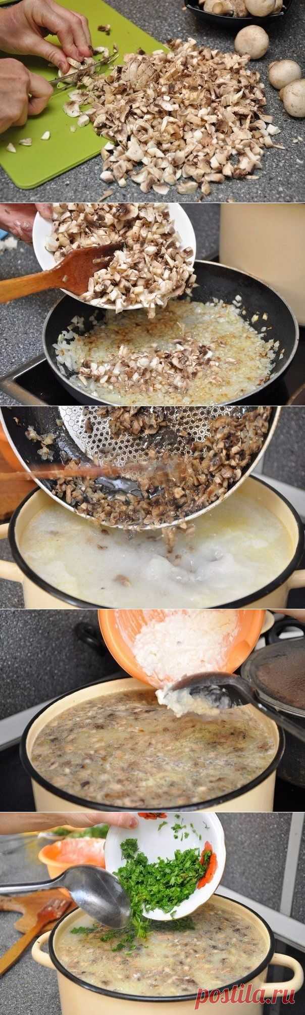 Сырный суп с грибами