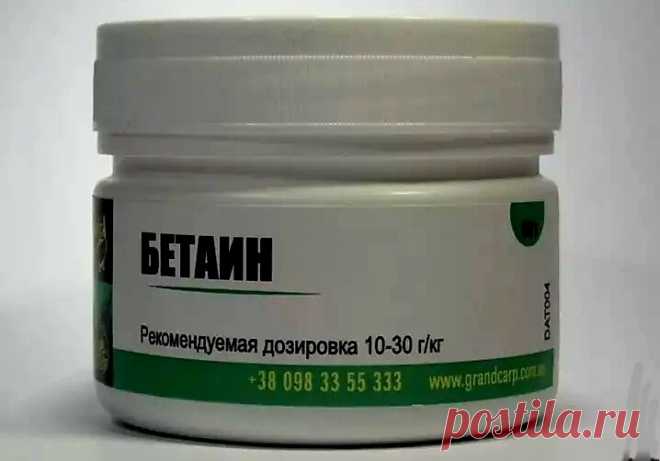 Бывшие браконьеры рассказали про секретную добавку в прикормку. Эффект ошеломительный. | Рыбацкие радости | Яндекс Дзен