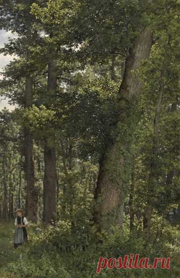 Роберт Цюнд (Robert Zünd, 1826-1909)
"Дубовый лес" (Eichwald)