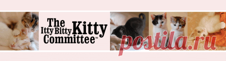 The Itty Bitty Kitty Committee