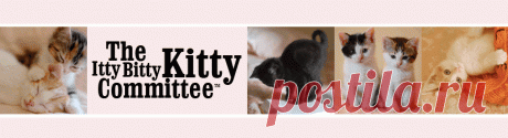 The Itty Bitty Kitty Committee: This Little Darling...