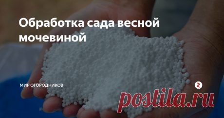 Обработка сада весной мочевиной Чтобы ваш сад выглядел ухожено, кустарники красивыми, фруктовые деревья были здоровыми и летом дали хороший урожай, его необходимо правильно готовить к сезону. Одним из таких важных мероприятий помимо побелки и обрезки деревьев является их опрыскивание, а самым эффективным средством для этого считается карбамид (мочевина). Обработка деревьев мочевиной весной решает сразу несколько проблем.
Характе