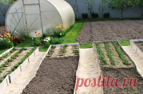 Ошибка при покрытии теплицы поликарбонатом, которую невозможно исправить | Есть время под солнцем | Яндекс Дзен