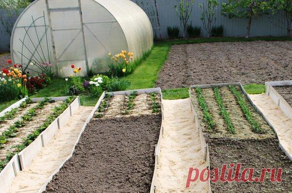 Ошибка при покрытии теплицы поликарбонатом, которую невозможно исправить | Есть время под солнцем | Яндекс Дзен