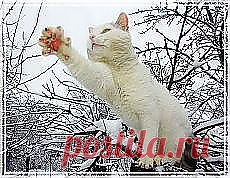 Улыбайся! и другие материалы. Новое в Вашей подборке на Постила.ru - selukova46@mail.ru - Почта Mail.Ru