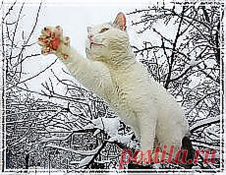 Улыбайся! и другие материалы. Новое в Вашей подборке на Постила.ru - selukova46@mail.ru - Почта Mail.Ru